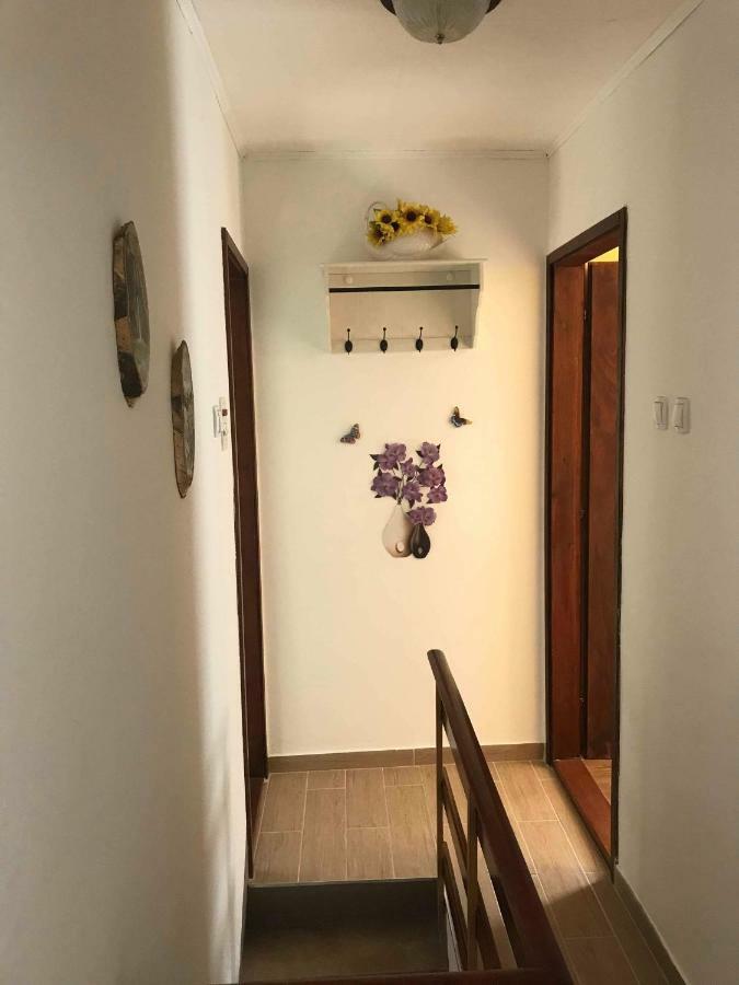 Apartma Evi Zaga Eksteriør billede