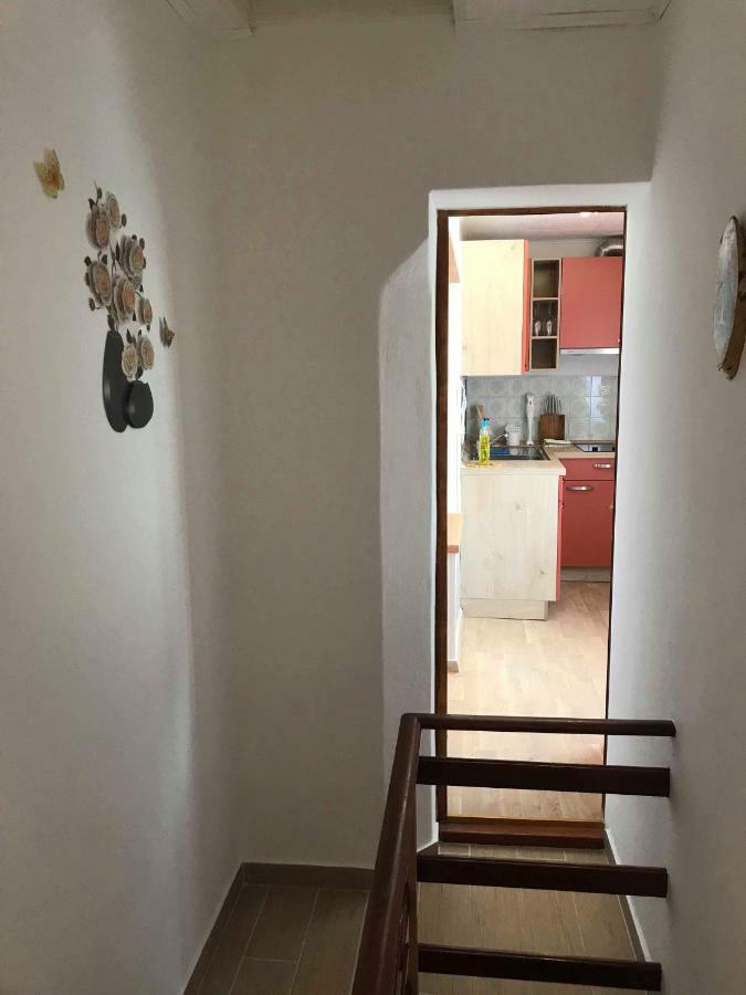 Apartma Evi Zaga Eksteriør billede