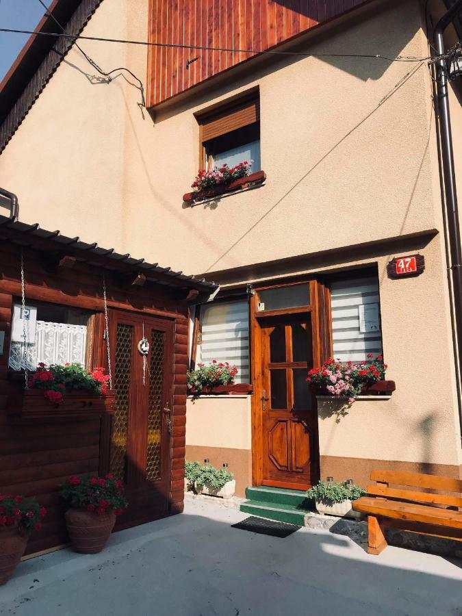 Apartma Evi Zaga Eksteriør billede