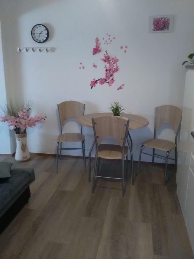 Apartma Evi Zaga Eksteriør billede